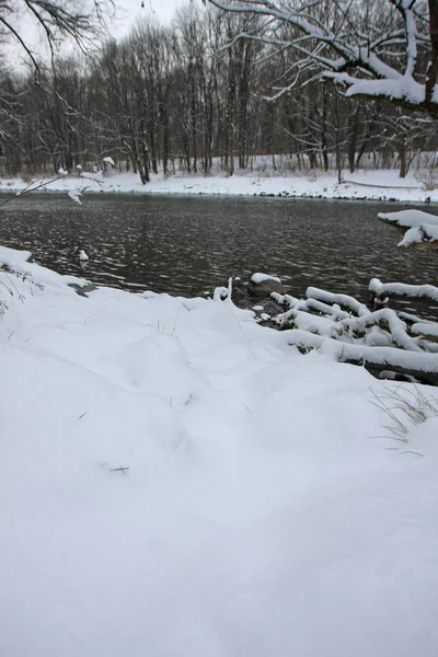 Χειμερινό Πάρκο Χιόνι Και Κρύο Ποτάμι — Φωτογραφία Αρχείου