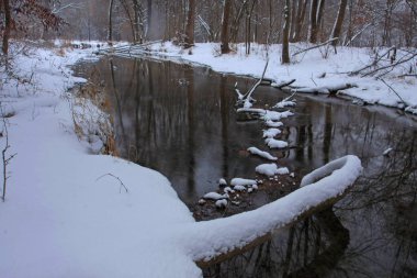 Kar ve soğuk nehri olan kış parkı