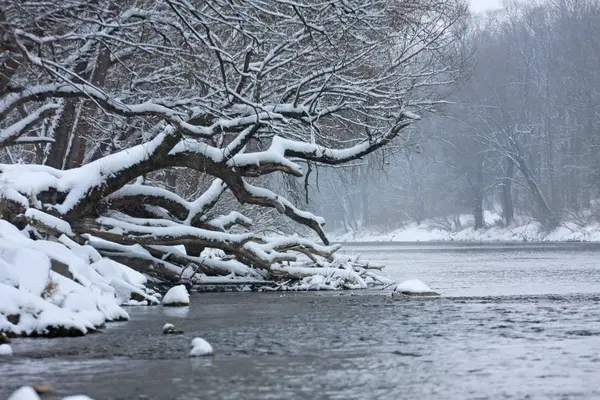 Winterpark Mit Schnee Und Kaltem Fluss — Stockfoto