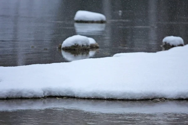 Parque Inverno Com Neve Rio Frio — Fotografia de Stock