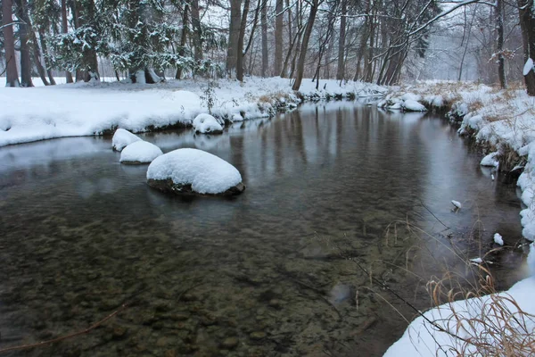 Parque Inverno Com Neve Rio Frio — Fotografia de Stock