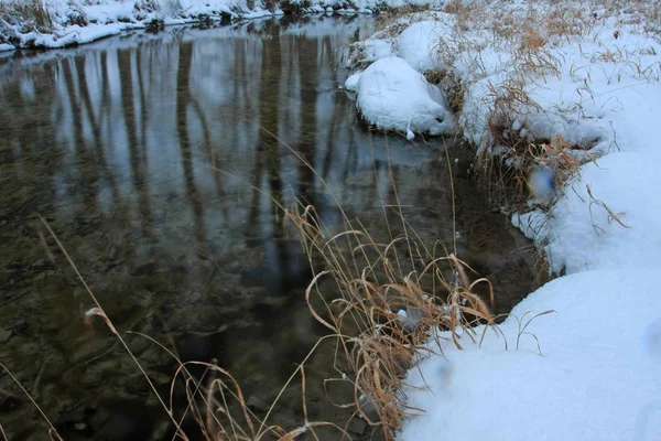 Parque Inverno Com Neve Rio Frio — Fotografia de Stock