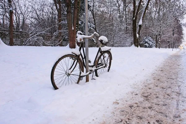 Живописный Вид Велосипед Велосипедом Снегу — стоковое фото