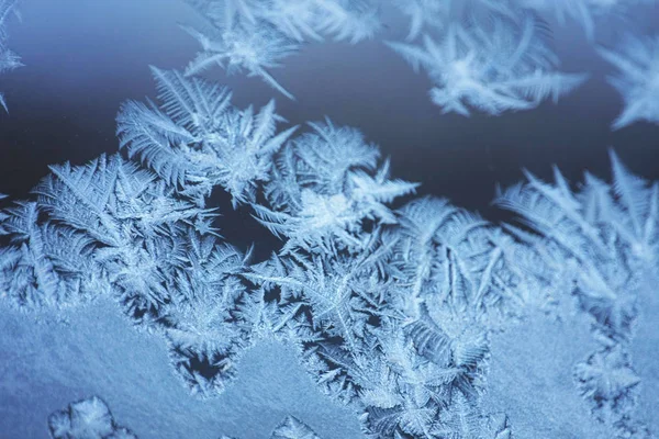 Крупный План Зимнего Леса Морозами Снежинками — стоковое фото