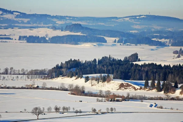 Schneebedeckte Landschaft Mit Kiefern Und Dorf Der Ferne — Stockfoto