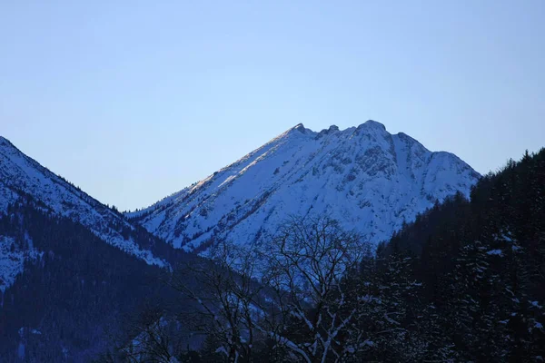 Landscape Snowy Winter Mountains — Stock Photo, Image