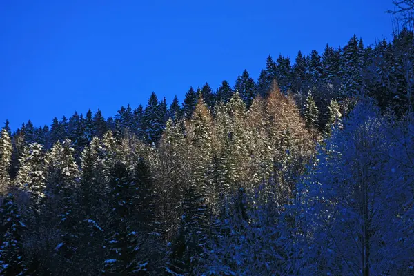 Paesaggio Montagne Invernali Innevate — Foto Stock