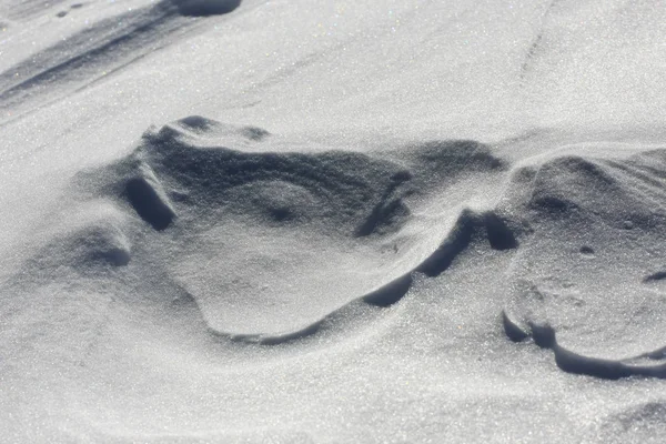 Schnee Bedeckt Boden Winterzeit — Stockfoto