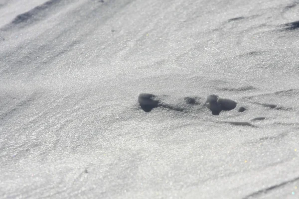 Kar Zemini Kapladı Kış Zamanı — Stok fotoğraf