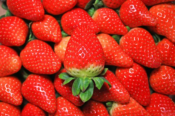 Nahaufnahme Eines Haufens Reifer Erdbeeren Als Hintergrund — Stockfoto
