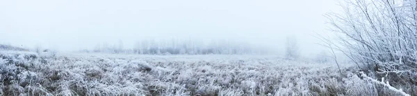 Vista Panorâmica Paisagem Inverno Com Árvores Cobertas Neve — Fotografia de Stock