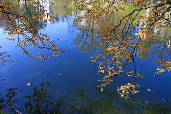 Herbstlicher Park Mit Glattem Fluss — Stockfoto