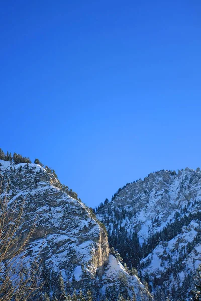 雪の降る冬の山の風景 ロイヤリティフリーのストック画像