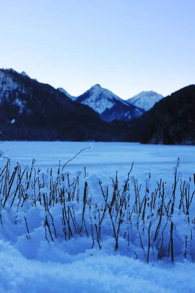 Landscape Snowy Winter Mountains Stock Photo