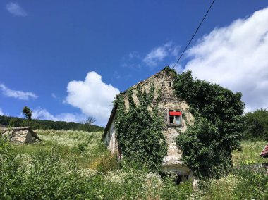 Vahşi üzümlerle büyüyen eski bir taş bina.