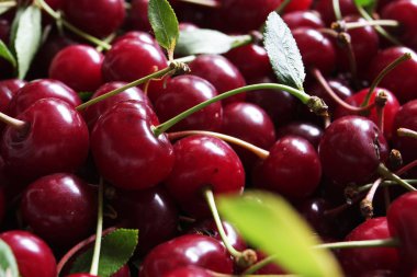 arka plan için olgun kiraz yığınının yakın çekim