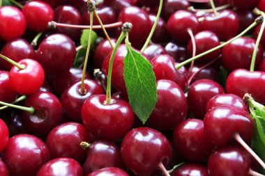 arka plan için olgun kiraz yığınının yakın çekim