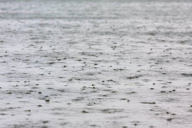 Gün batımında dalgalı nehir suyu