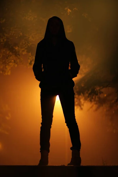 Gün batımında kadın siluetinin dikiz görüntüsü