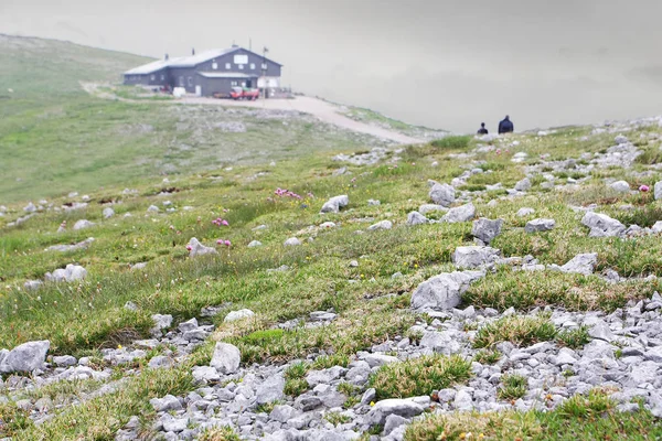 Paysage Montagnes Brumeuses Fond Naturel — Photo