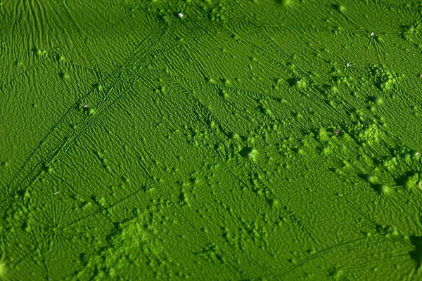 Abstrakter Grüner Hintergrund Mit Kopierraum — Stockfoto