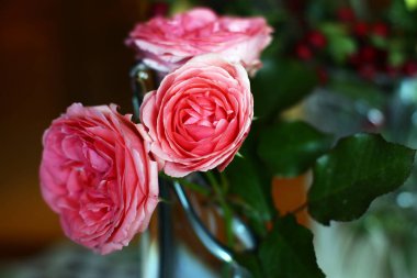 Yumuşak güllerin yakın görüntüsü