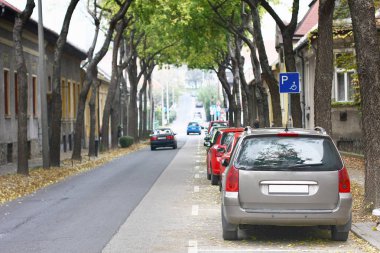 Otomobilli ve renkli sonbahar ağaçlı yol manzarası