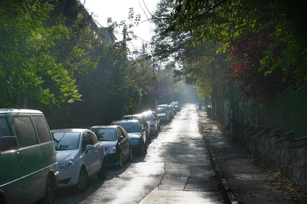 Vue Panoramique Sur Les Voitures Sur Route Dans Parc — Photo