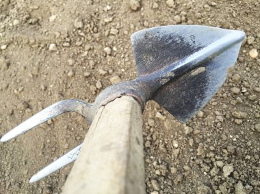 Kumda tırmığın yakın görüntüsü 