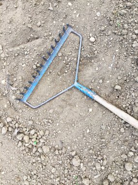 Kumda tırmığın yakın görüntüsü 