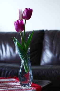 Vazodaki pembe lalelerin yakın çekim görüntüsü