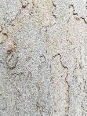 Çizik ve çatlaklarla dolu beton doku. 