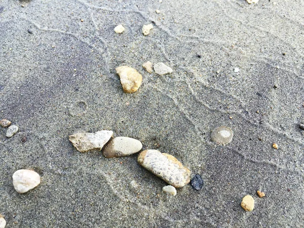 海滩上的海贝壳近景 — 图库照片