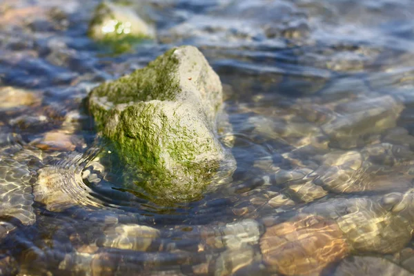 Vista Vicino Della Pietra Lungo Fiume — Foto Stock