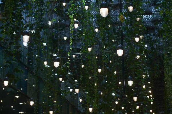 Lights Green Plants Hanging Ceiling — ストック写真
