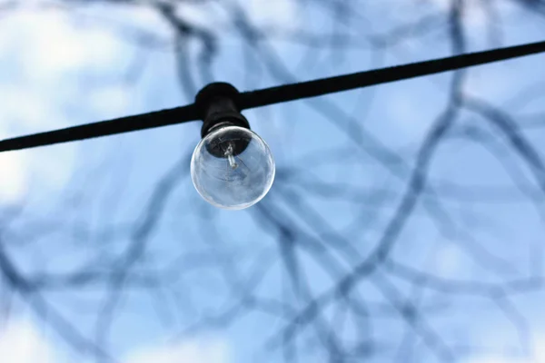 Ampoule Sur Fil Noir Avec Branches Floues Abstraites Arrière Plan — Photo