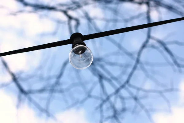 Ampoule Sur Fil Noir Avec Branches Floues Abstraites Arrière Plan — Photo
