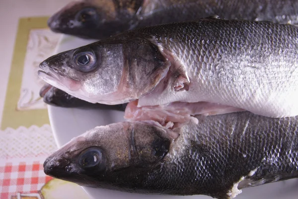 Close Shot Uncooked Fish White Plate — Stock Photo, Image