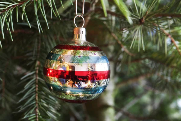 Detailní Pohled Vánoční Míč Větvi Stromu — Stock fotografie