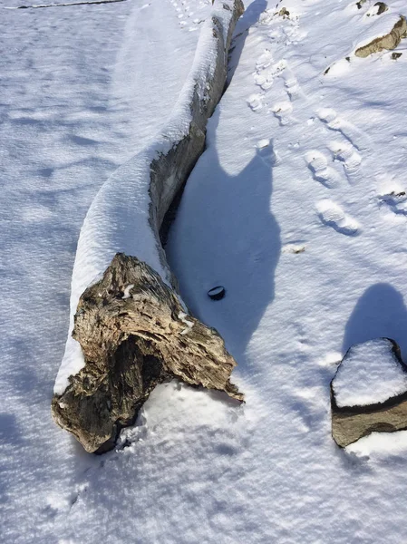 Schnee Bedeckt Boden Winterzeit — Stockfoto