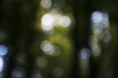 soyut bulanık arka plan. bokeh ışıkları