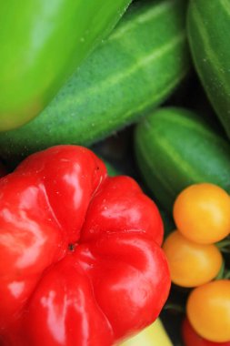 çeşitli olgun sebze yığınının yakın çekim