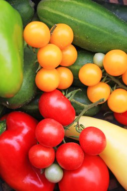 çeşitli olgun sebze yığınının yakın çekim