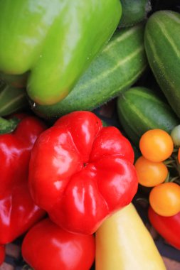 çeşitli olgun sebze yığınının yakın çekim