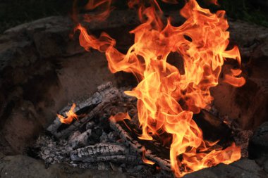 karanlıkta yanan kamp ateşinin yakın çekim çekimi