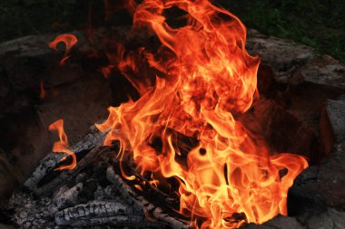 karanlıkta yanan kamp ateşinin yakın çekim çekimi