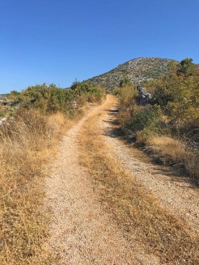 Ağaçlı ve yıpranmış zeminin manzarası