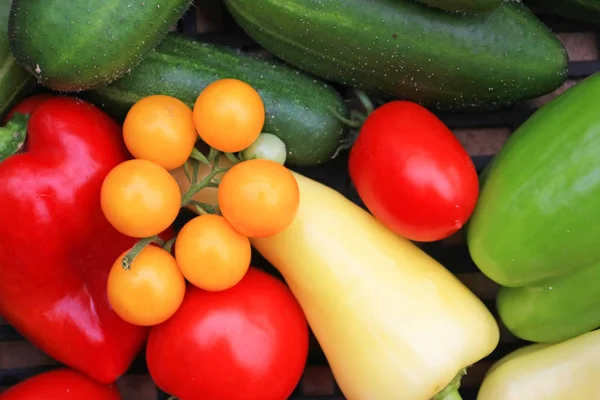 Primer Plano Pila Varias Verduras Maduras — Foto de Stock