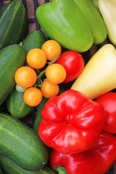 çeşitli olgun sebze yığınının yakın çekim