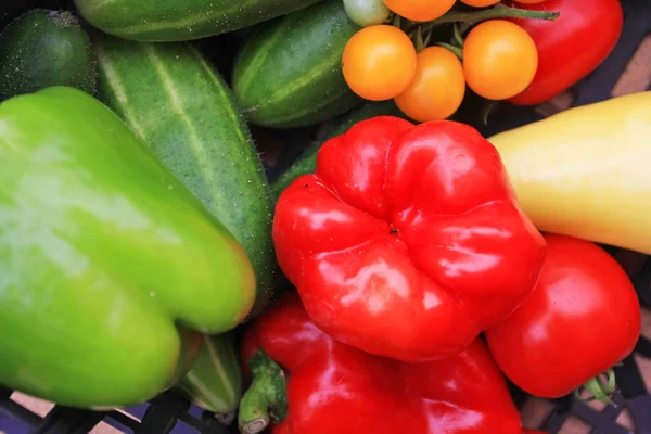 Primer Plano Pila Varias Verduras Maduras — Foto de Stock